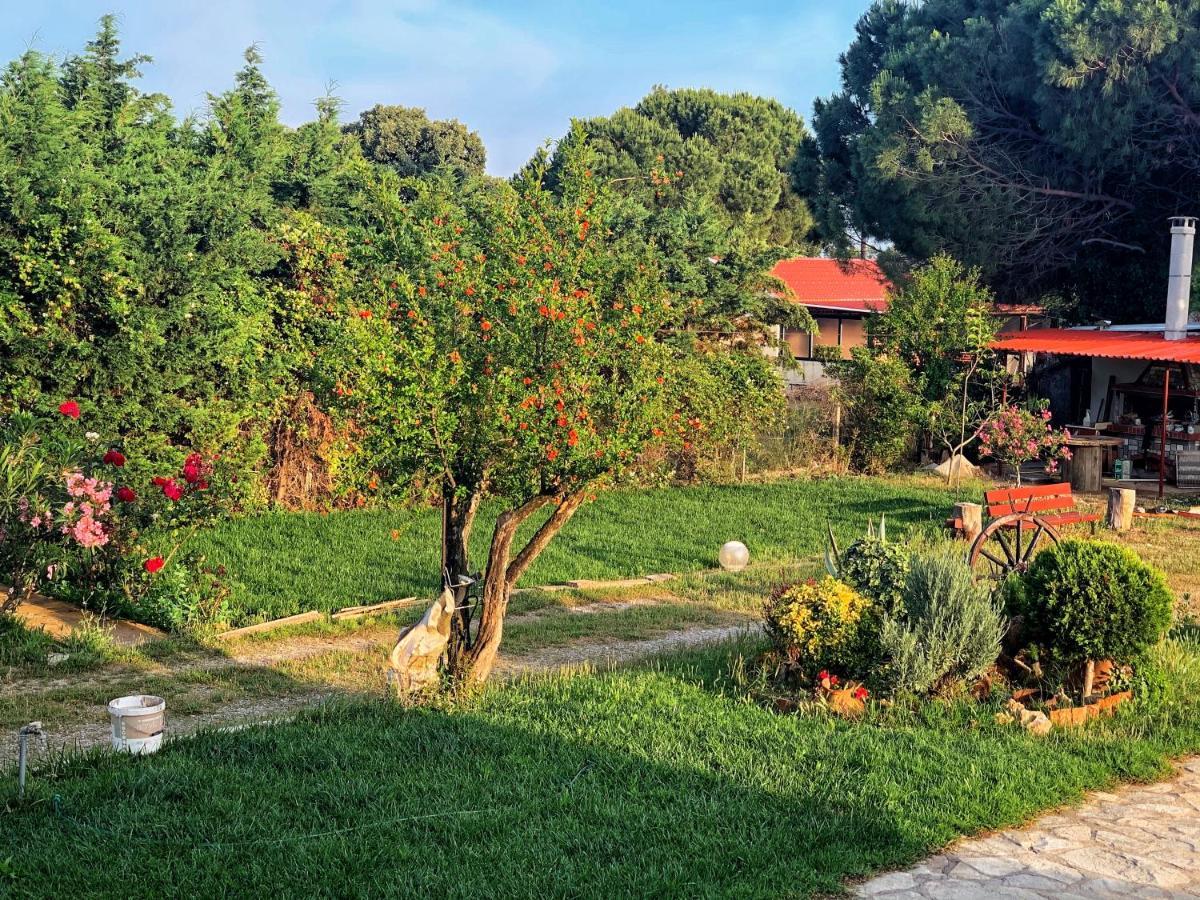 Ivonnis Garden Villa Mesimvria  Eksteriør billede