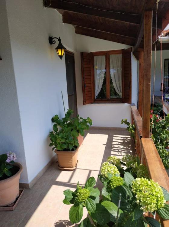 Ivonnis Garden Villa Mesimvria  Eksteriør billede