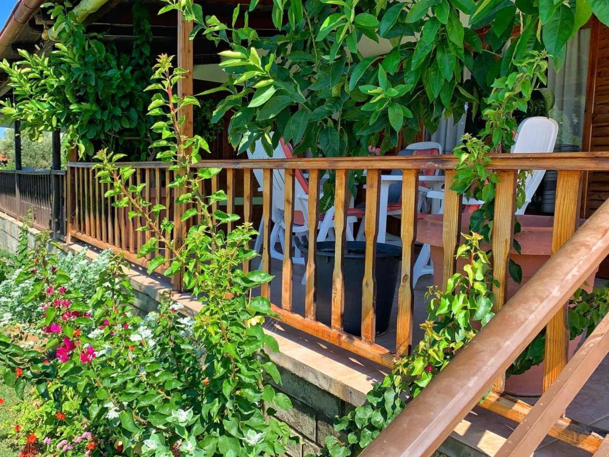 Ivonnis Garden Villa Mesimvria  Eksteriør billede