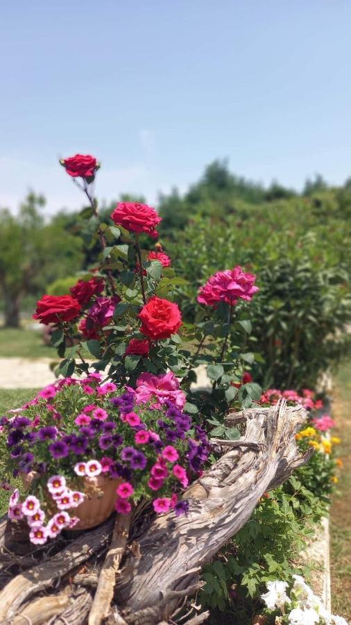 Ivonnis Garden Villa Mesimvria  Eksteriør billede