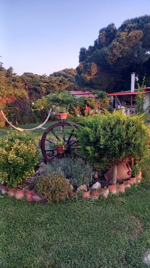 Ivonnis Garden Villa Mesimvria  Eksteriør billede