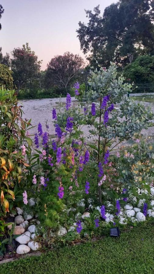 Ivonnis Garden Villa Mesimvria  Eksteriør billede